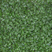 Load image into Gallery viewer, Green/Glossy Leaf Garden Trellis 39.37-in W x 39.37-in H