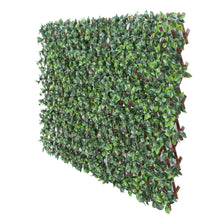 Load image into Gallery viewer, Gardenia Leaf Garden Trellis 75-in W x 34.25-in H
