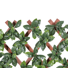 Load image into Gallery viewer, Gardenia Leaf Garden Trellis (2-Pack) 75-in W x 34.25-in H