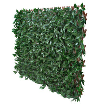 Load image into Gallery viewer, Green/Glossy Leaf Garden Trellis 75-in W x 34.25-in H