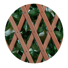 Load image into Gallery viewer, Green/Glossy Leaf Garden Trellis 75-in W x 34.25-in H