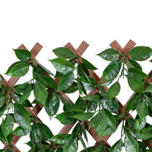 Load image into Gallery viewer, Green/Glossy Leaf Garden Trellis 75-in W x 34.25-in H