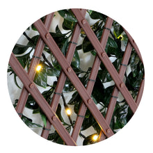Load image into Gallery viewer, Gardenia Expandable Trellis with Lights