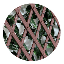 Load image into Gallery viewer, Gardenia Expandable Trellis