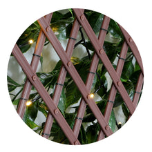 Load image into Gallery viewer, Sakura Expandable Trellis with Lights
