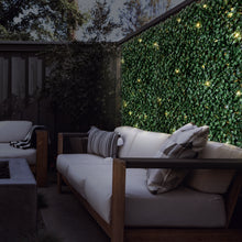 Load image into Gallery viewer, Ficus Artificial Hedge Wall Panel with Lights