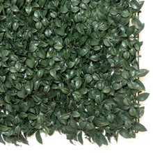 Load image into Gallery viewer, Ficus Artificial Hedge Wall Panel