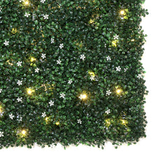 Load image into Gallery viewer, Jasmine Boxwood Artificial Hedge Wall Panel with Lights