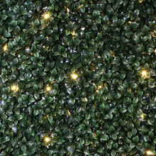 Load image into Gallery viewer, Ficus Artificial Hedge Wall Panel with Lights
