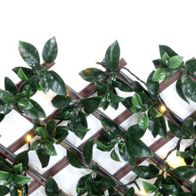 Load image into Gallery viewer, Gardenia Expandable Trellis with Lights