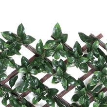Load image into Gallery viewer, Gardenia Expandable Trellis