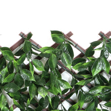 Load image into Gallery viewer, Sakura Expandable Trellis