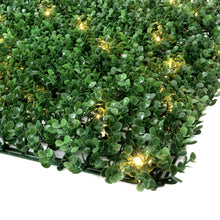 Load image into Gallery viewer, English Boxwood Artificial Hedge Wall Panel with Lights