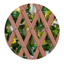 Load image into Gallery viewer, Green/Glossy Leaf Garden Trellis (2-Pack) 75-in W x 34.25-in H