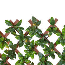 Load image into Gallery viewer, Green/Glossy Leaf Garden Trellis (2-Pack) 75-in W x 34.25-in H