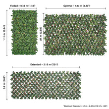 Load image into Gallery viewer, Green/Glossy Leaf Garden Trellis (2-Pack) 75-in W x 34.25-in H