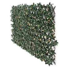 Load image into Gallery viewer, Gardenia Expandable Trellis with Lights