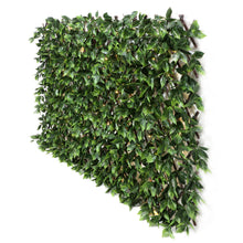 Load image into Gallery viewer, Sakura Expandable Trellis with Lights