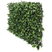 Load image into Gallery viewer, Sakura Expandable Trellis