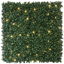 Load image into Gallery viewer, Ficus Artificial Hedge Wall Panel with Lights