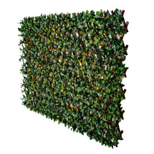 Load image into Gallery viewer, Green/Glossy Leaf Garden Trellis 75-in W x 34.25-in H