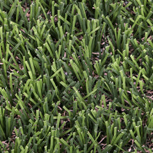 Load image into Gallery viewer, Sonoma 42 mm - 7.38 ft x 11.68 ft