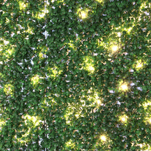 Load image into Gallery viewer, English Boxwood Artificial Hedge Wall Panel with Lights