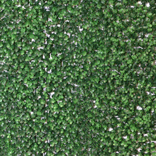 Load image into Gallery viewer, English Boxwood Artificial Hedge Wall Panel