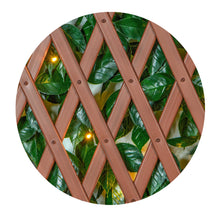 Load image into Gallery viewer, Green/Glossy Leaf Garden Trellis (2-Pack) 75-in W x 34.25-in H