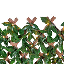 Load image into Gallery viewer, Green/Glossy Leaf Garden Trellis (2-Pack) 75-in W x 34.25-in H