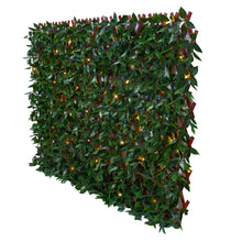 Load image into Gallery viewer, Green/Glossy Leaf Garden Trellis (2-Pack) 75-in W x 34.25-in H