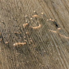Load image into Gallery viewer, Laurel Oak - 3.5 + 1 mm
