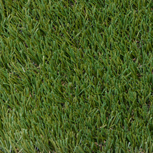 Load image into Gallery viewer, Aspen Lush