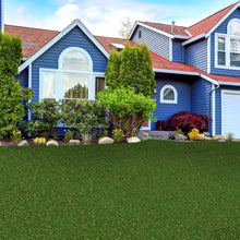 Load image into Gallery viewer, Jasper 25 mm - 7.38 ft x 11.68 ft