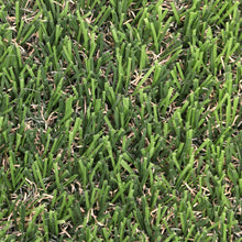 Load image into Gallery viewer, Jasper 25 mm - 7.38 ft x 11.68 ft