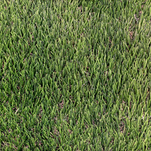 Load image into Gallery viewer, Banff 35 mm - 7.38 ft x 11.68 ft