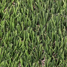 Load image into Gallery viewer, Banff 35 mm - 3.74 ft x 11.52 ft