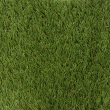 Load image into Gallery viewer, Aspen Lush