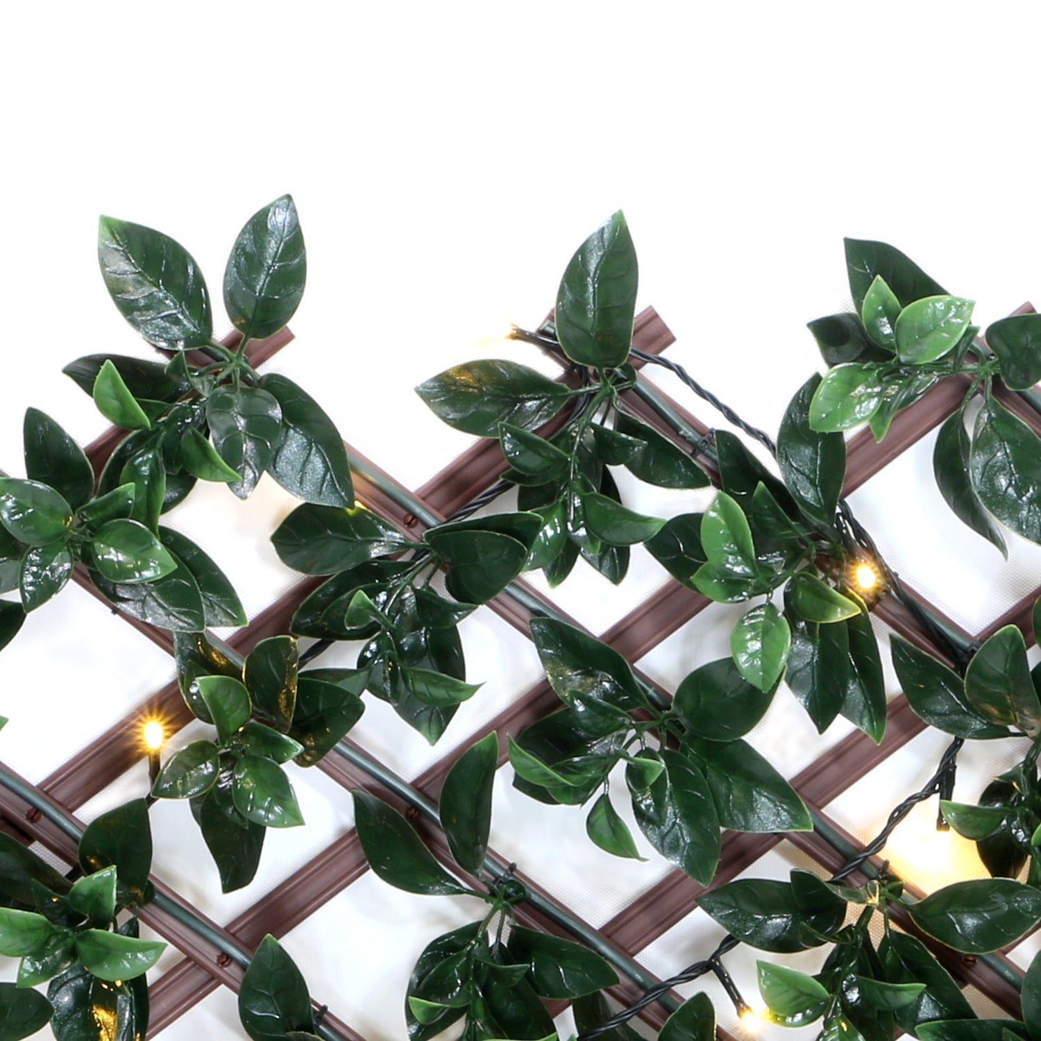 hanging gardenia plant Gardenia Expandable Trellis with Lights – Everhome