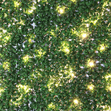 Charger l&#39;image dans la galerie, English Boxwood Artificial Hedge Wall Panel with Lights
